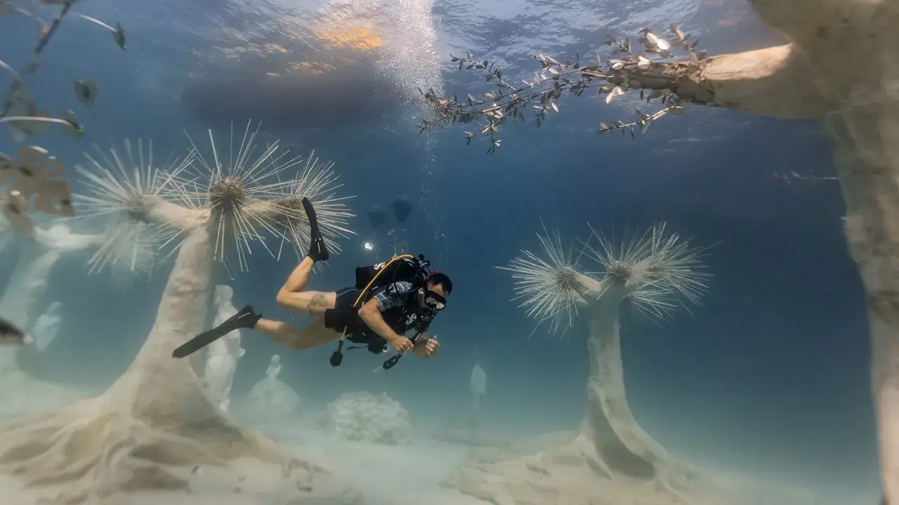 Nurkowanie wśród podwodnych rzeźb, które mogą przypominać rafy koralowe. Czy na Cyprze są rafy koralowe? To miejsce jest dowodem na podwodną sztukę.