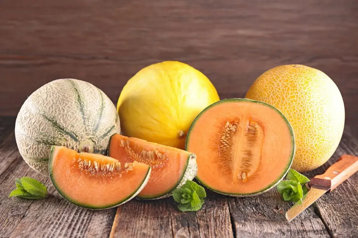 różne odmiany melona (miodowy, kantalupa, galia)