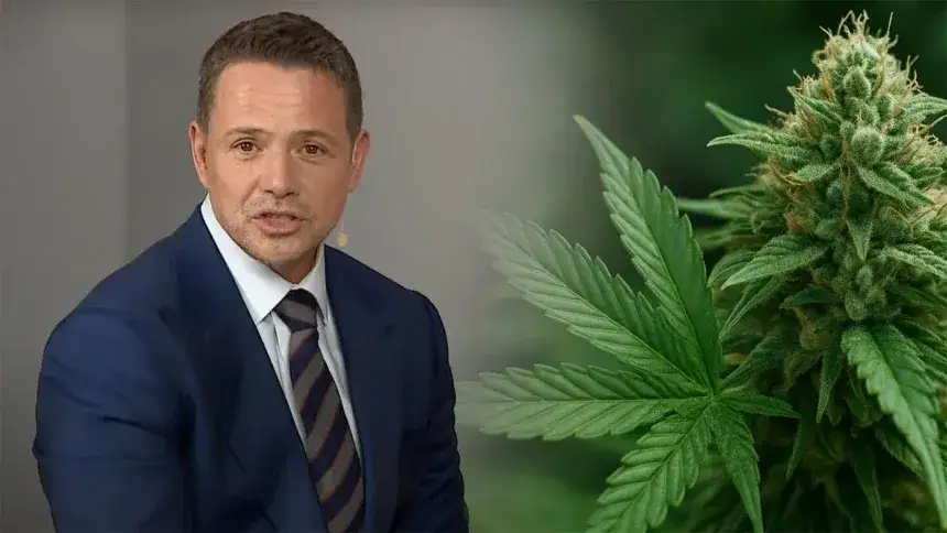 Debata polityczna marihuana Polska