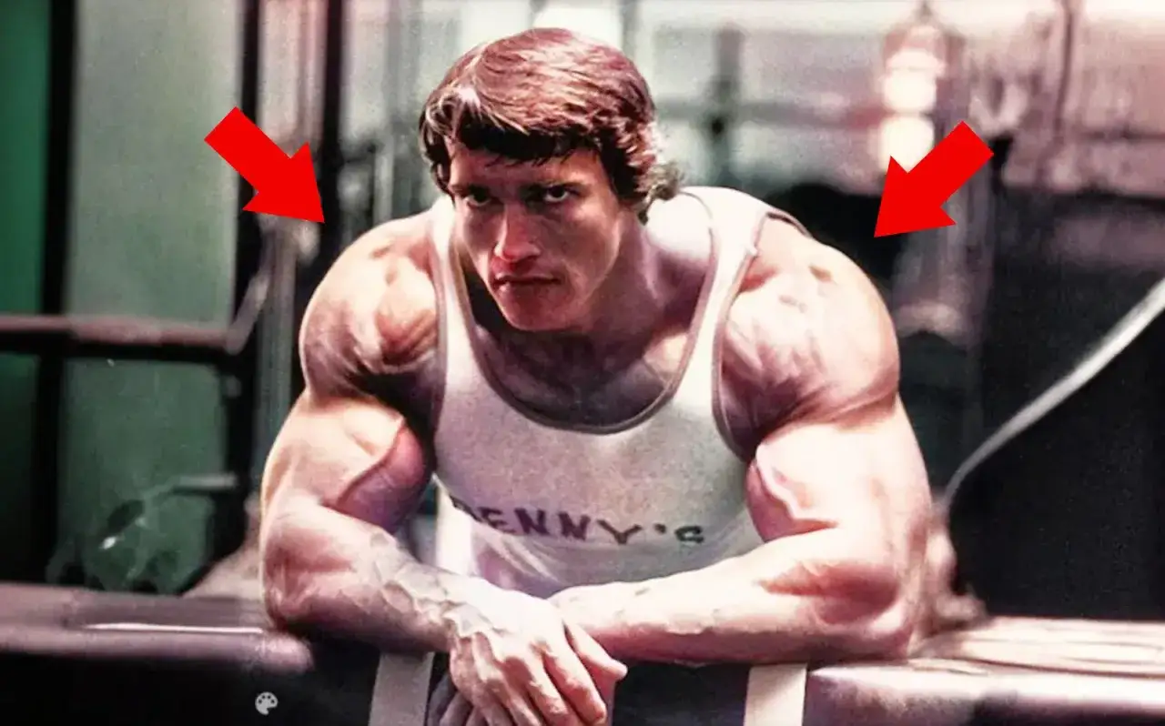 Arnold Schwarzenegger prezentuje imponujące ćwiczenia na barki siłownia. Czerwone strzałki wskazują na jego potężne ramiona.