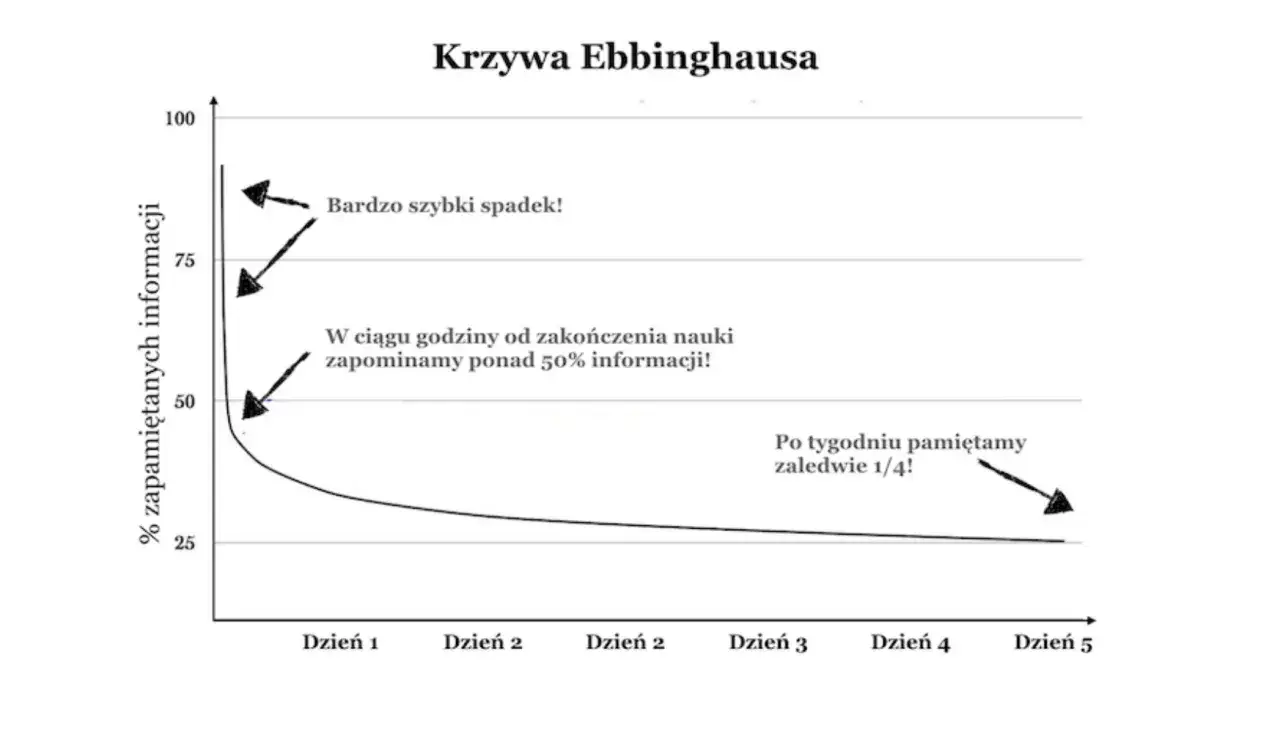 krzywa zapominania ebbinghaus