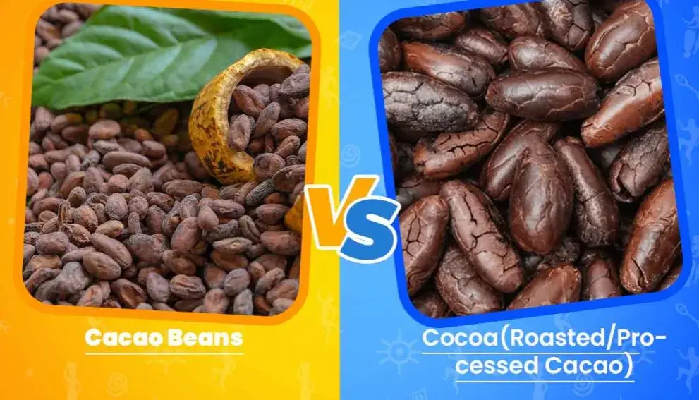 r&oacute;żne rodzaje kakao i dodatki por&oacute;wnanie