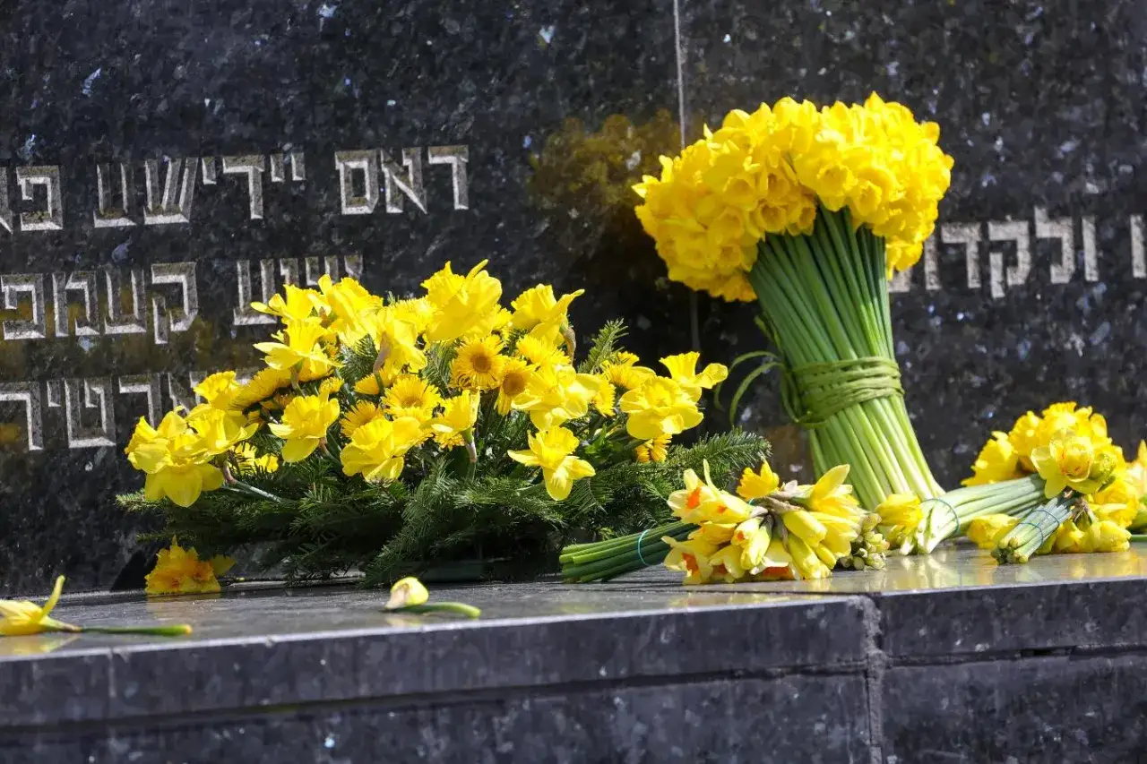 Żonkil, jak słoneczko, świeci na nagrobku. Wiele ż&oacute;łtych kwiat&oacute;w, jak bukiet radości, leży obok.