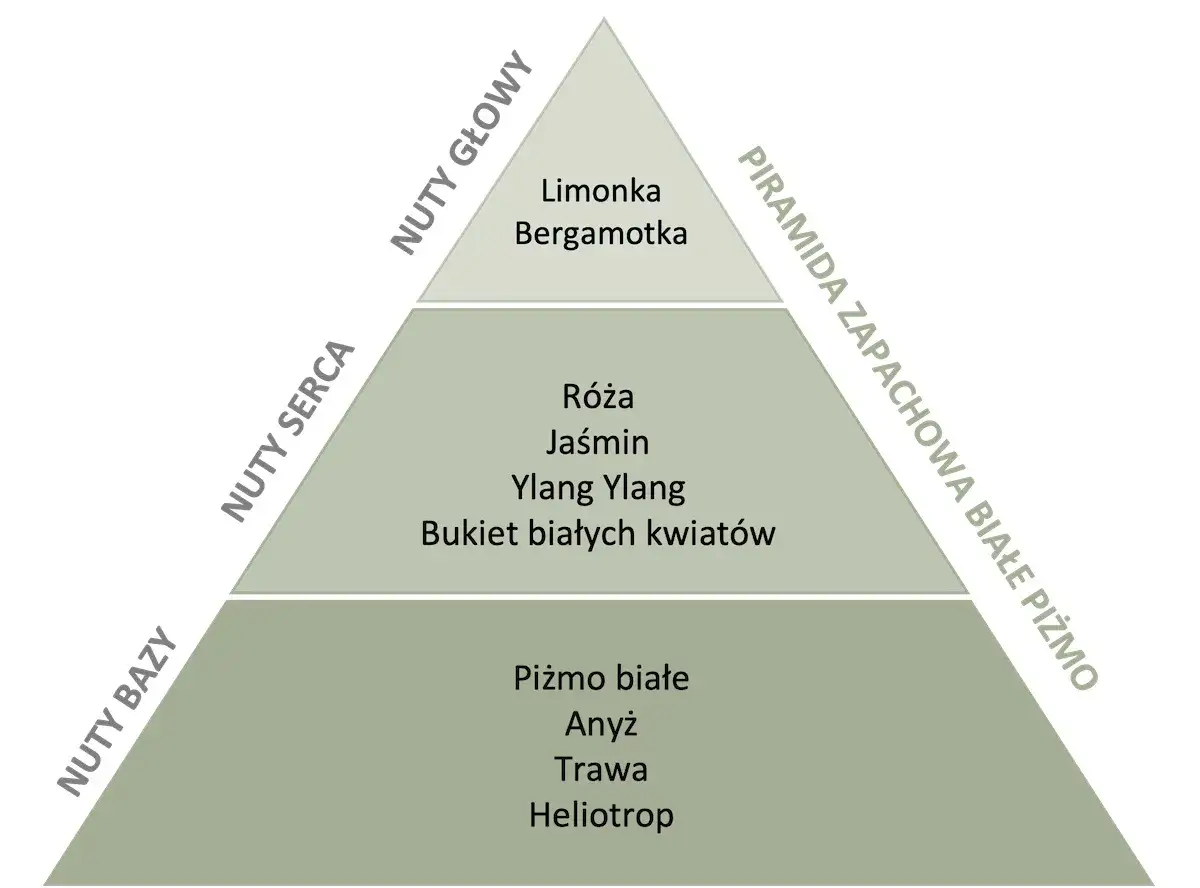 Piramida zapachowa: nuty głowy (limonka, bergamotka), nuty serca (róża, jaśmin, ylang ylang, bukiet białych kwiatów), nuty bazy (piżmo białe, anyż, trawa, heliotrop). Jak dobrać perfumy?