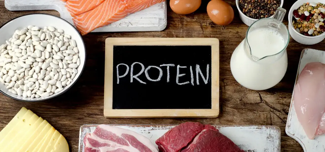 Białko budulec organizmu i zdrowia