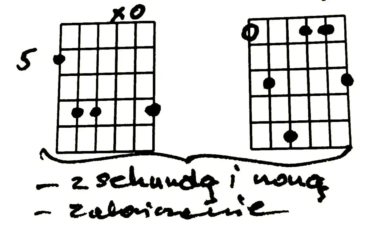 Diagramy chwyt&oacute;w gitarowych D A G Em Bm