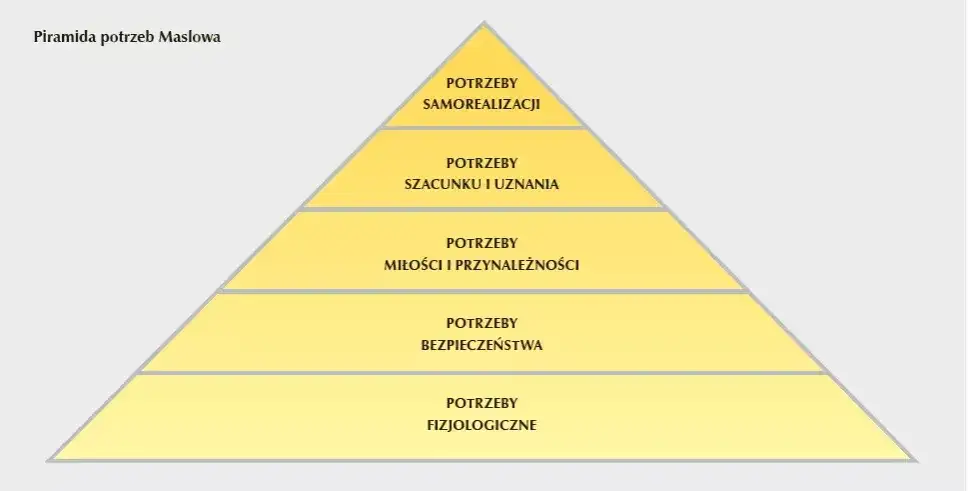 Zdjęcie Jakie są potrzeby edukacyjne mojego dziecka i jak je zaspokoić?