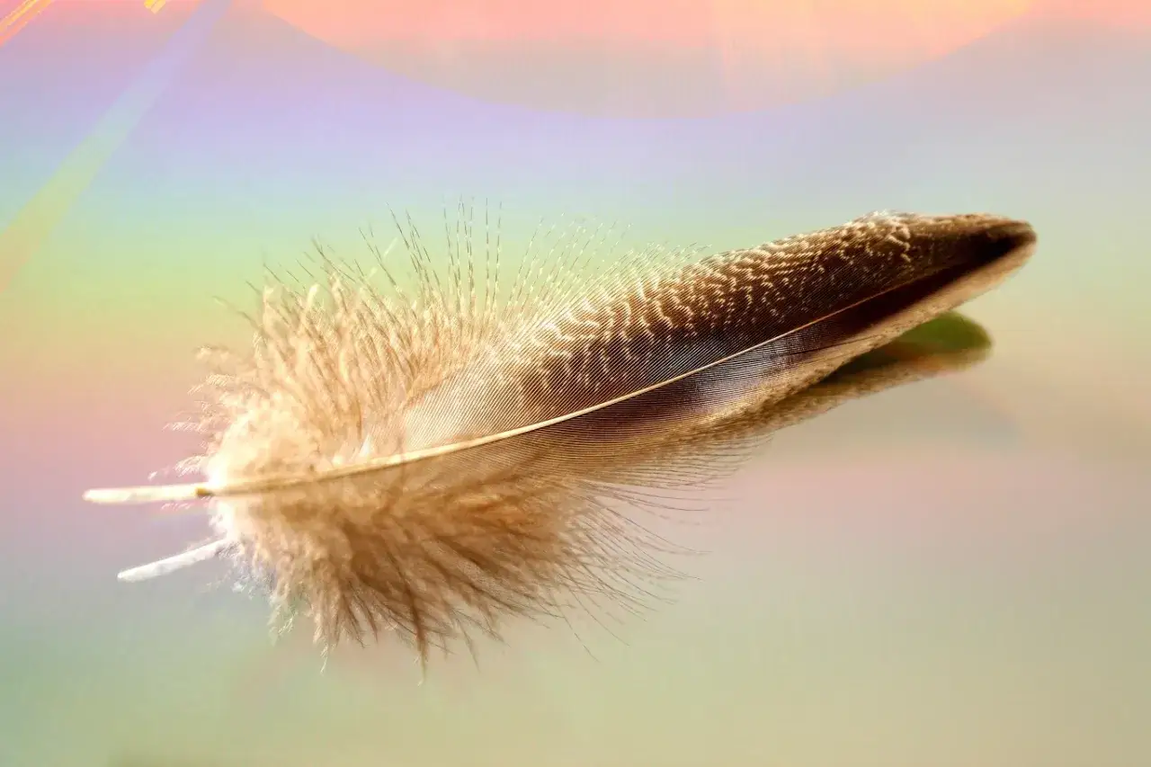 Delikatne pi&oacute;ro na tęczowym tle. Jego wzory i puszystość symbolizują lekkość, wolność i duchowość.