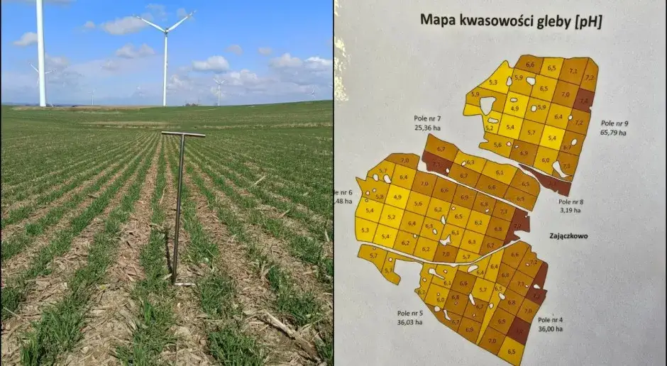 Mapa zasobności gleby, rolnik z tabletem na polu kukurydzy