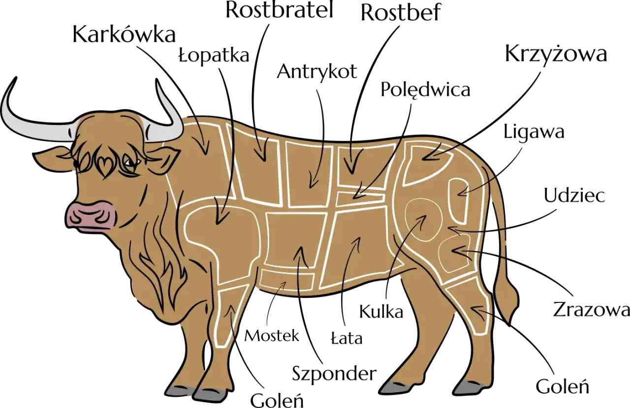 przekr&oacute;j mięsa wł&oacute;kna