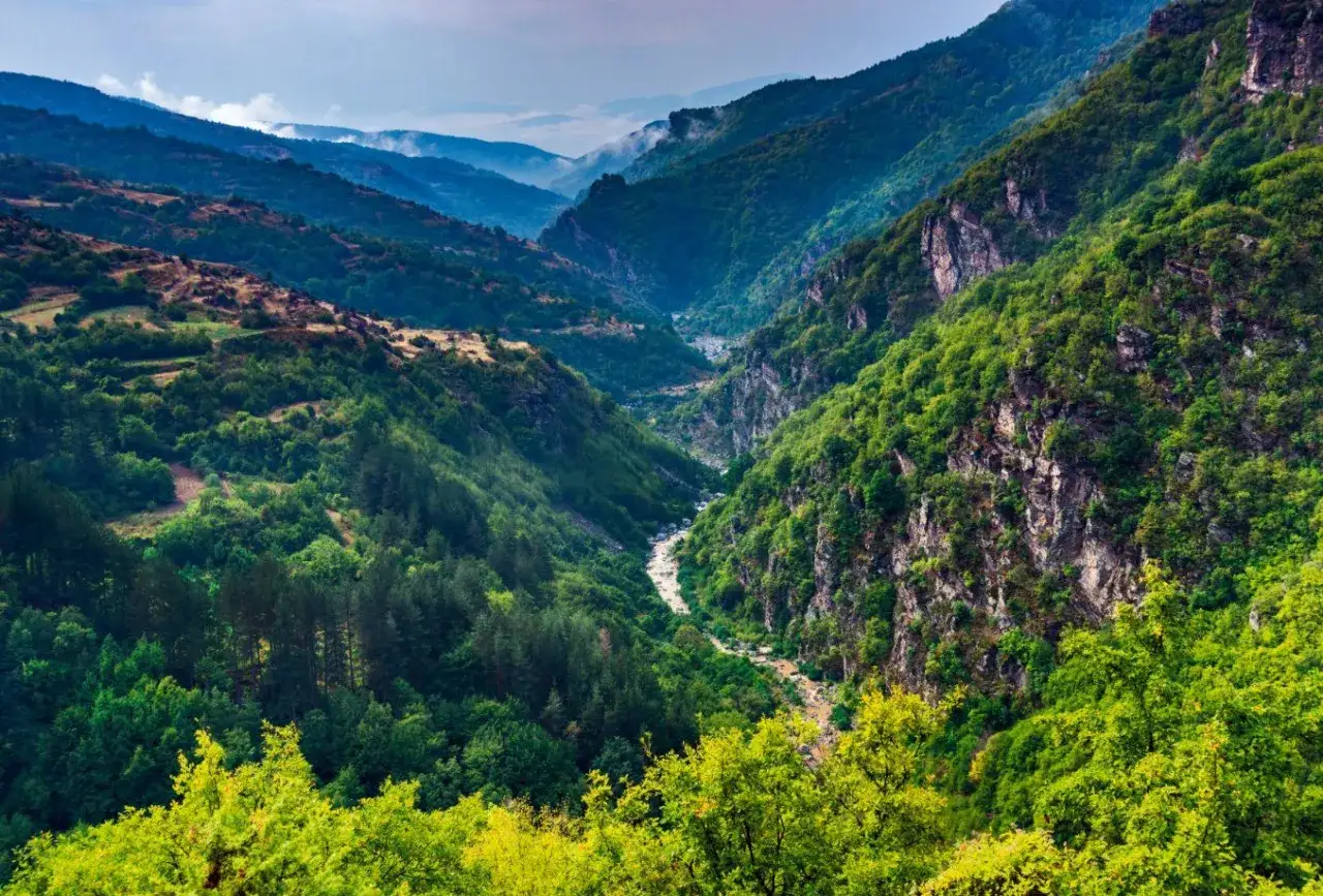 Malowniczy wąwóz w górach Rodopy, z krętą rzeką i stromymi, porośniętymi lasem zboczami.