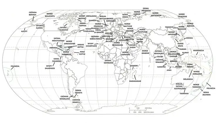 Mapa świata z zaznaczonymi oceanami i morzami