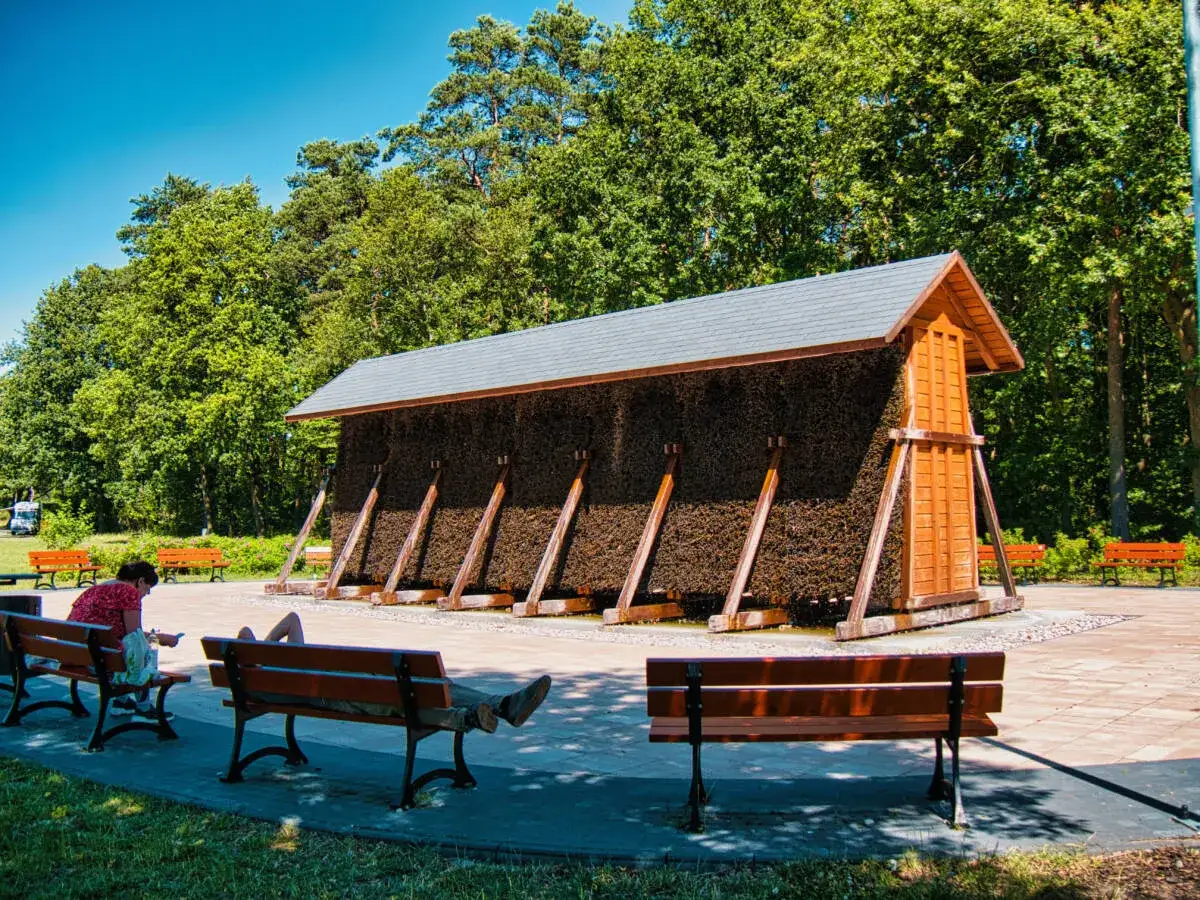 Myślęcinek Bydgoszcz atrakcje