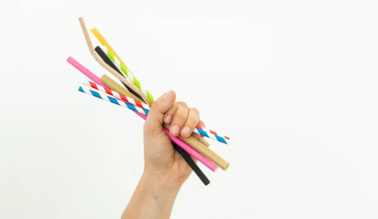 Por&oacute;wnanie r&oacute;żnych rodzaj&oacute;w słomek ekologicznych