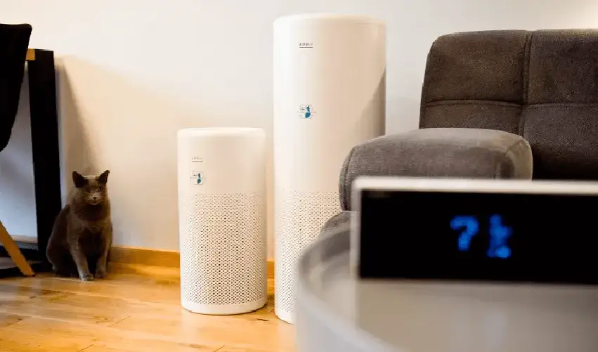 oczyszczacz powietrza w domu z kotem, czysty dom alergika i kota