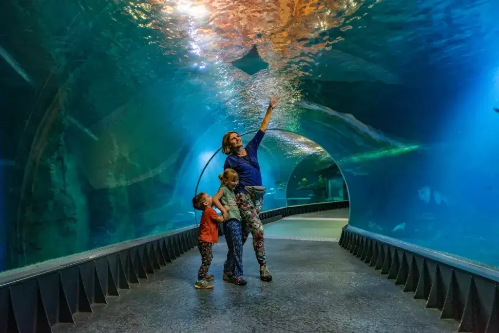 Rodzina przy wejściu do Afrykarium we Wrocławiu