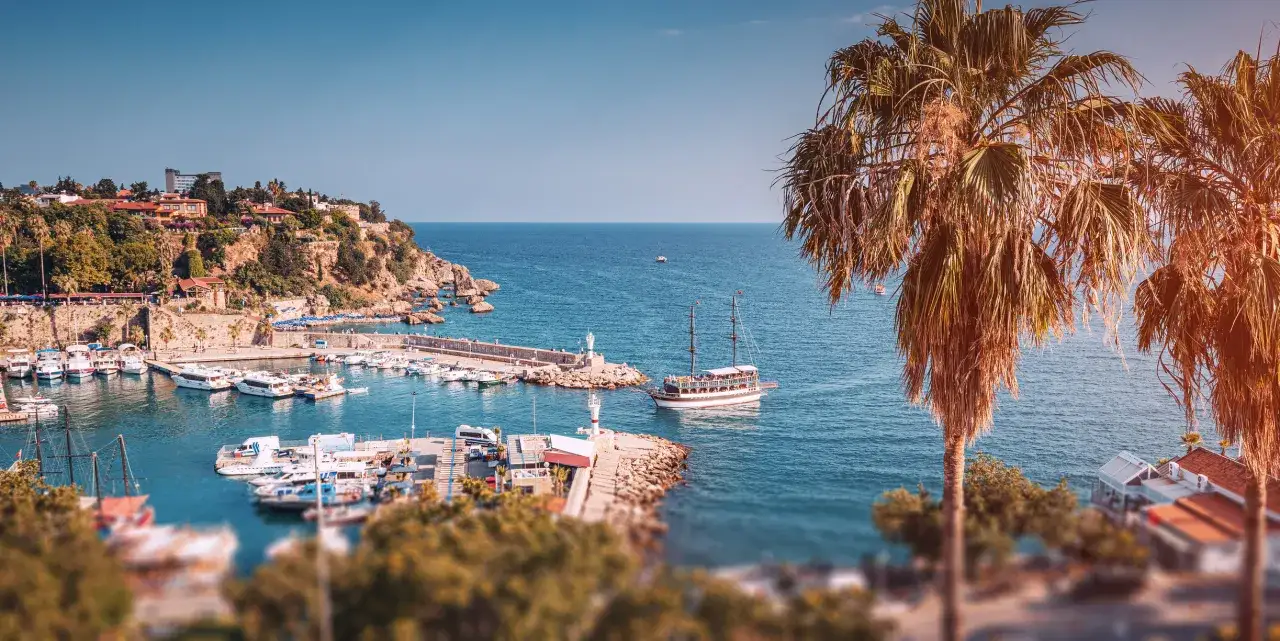 Widok na port z palmami i statkami. Czy riwiera turecka jest bezpieczna? Tak, wygląda na spokojną i malowniczą.