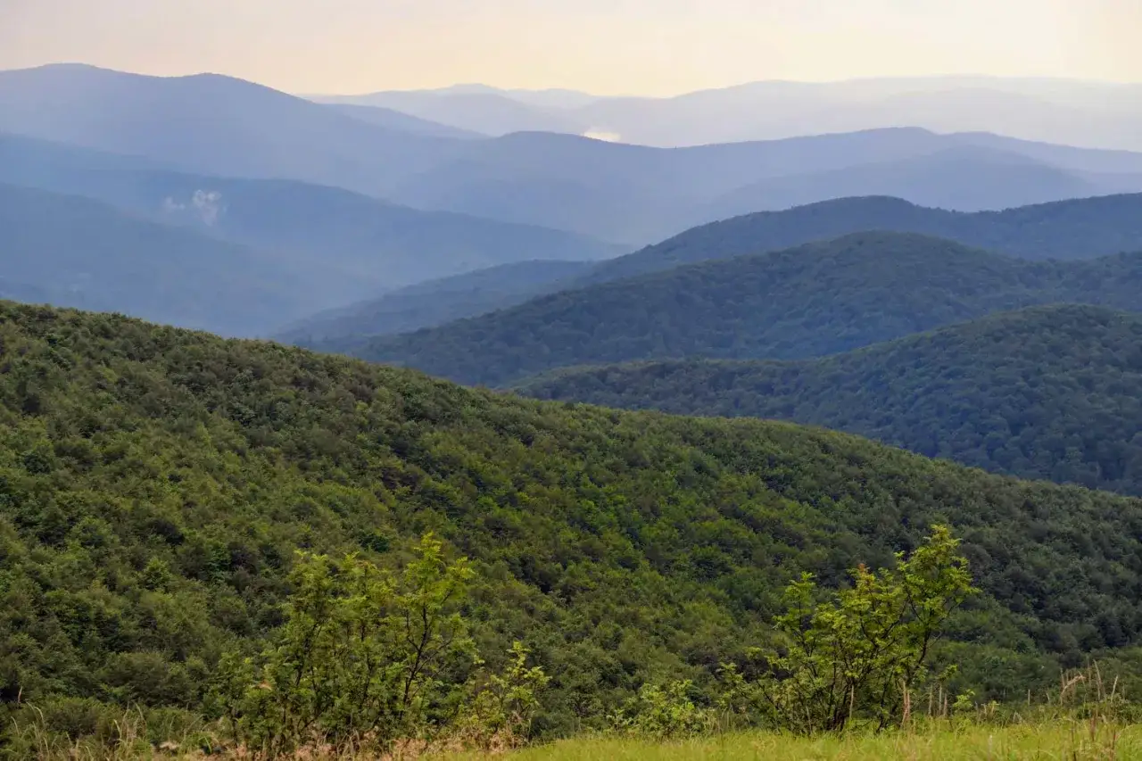 Widok na zielone, zalesione wzg&oacute;rza Bieszczad&oacute;w w oddali, tworzące łagodne, falujące pasma g&oacute;rskie.
