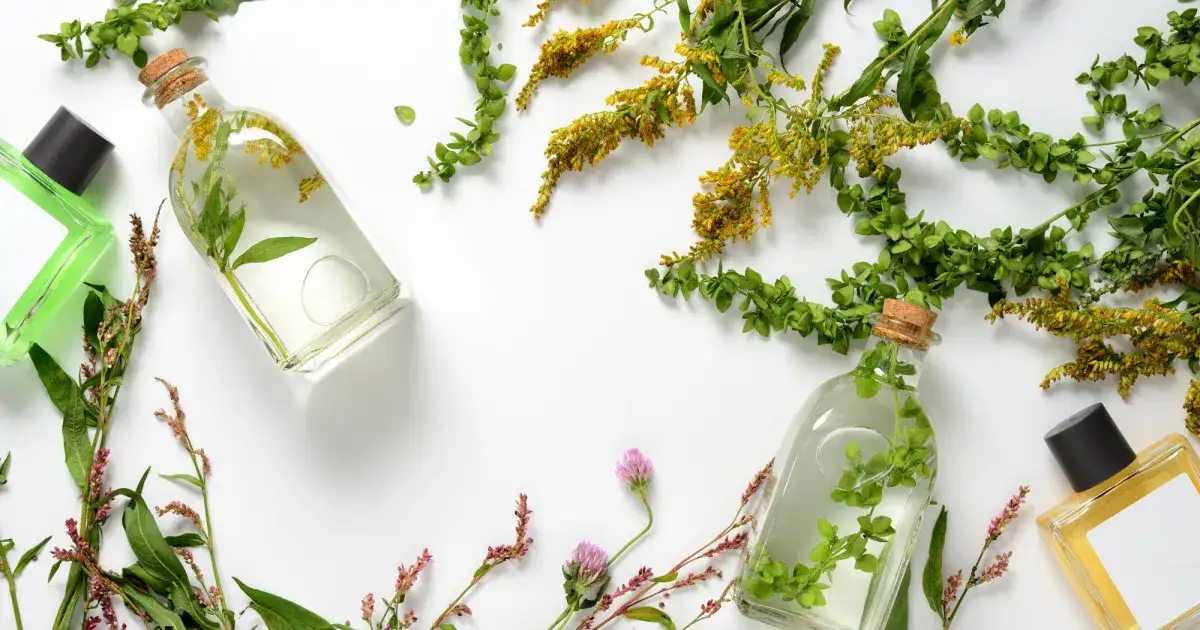 Zdjęcie Najlepsze day spa w Wielkopolsce - relaks i wellness dla Ciebie