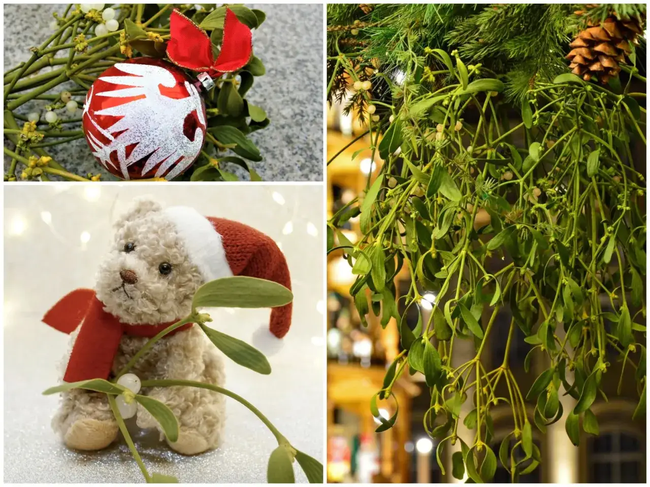 Dlaczego jemioła jest symbolem świąt? Bo przynosi miłość i szczęście, jak widać na świątecznych ozdobach i pluszowym misiu.