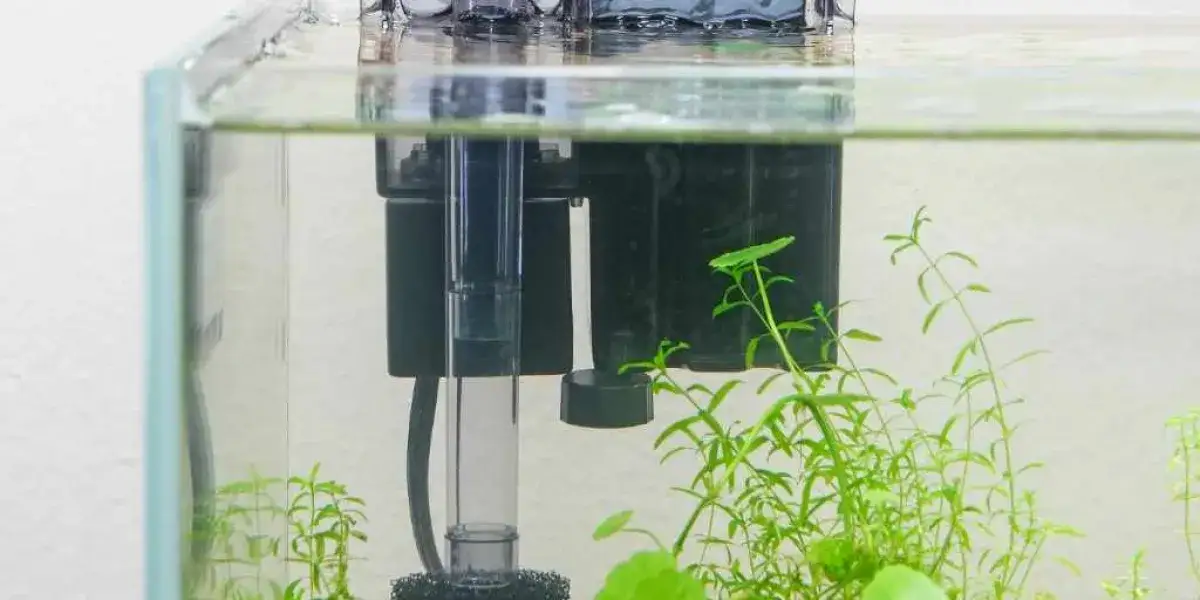 Czyszczenie filtra akwariowego DIY