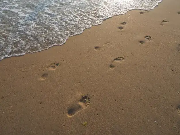 Odbicie promieni słonecznych od wody i piasku na plaży
