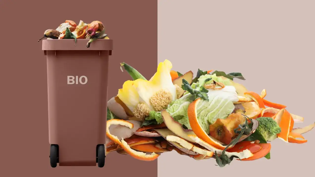 Brązowy kosz na odpady BIO z resztkami jedzenia i obok stos warzyw, owoców i skórek. Oto co wrzucamy do bio.