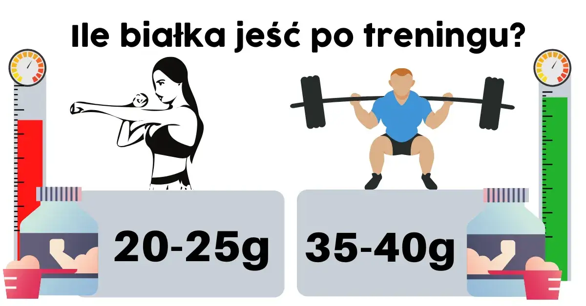 białko przed i po treningu infografika