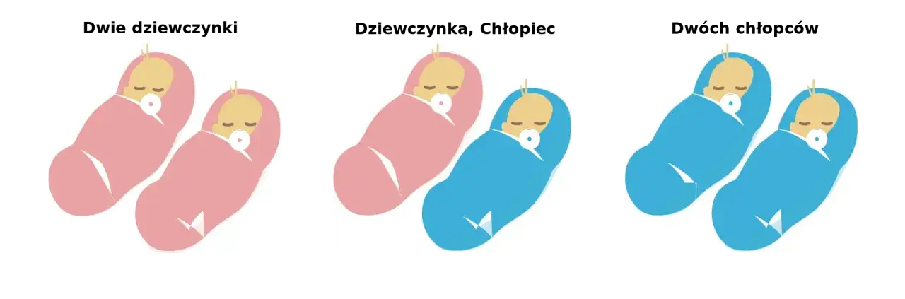 badania genetyczne bliźniąt