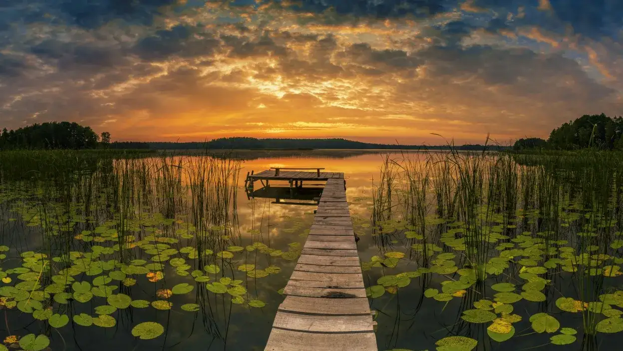 Zdjęcie Działki nad jeziorem lubelskie - idealne miejsca na wypoczynek i inwestycje