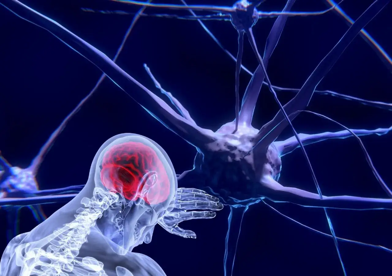 Zdjęcie Rehabilitacja neurologiczna co to jest i jak może zmienić życie