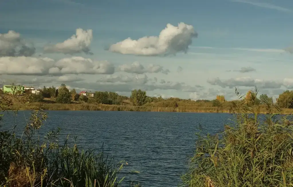 Zdjęcie Jezioro Proboszczowskie: ukryte skarby i atrakcje w Pszczewie