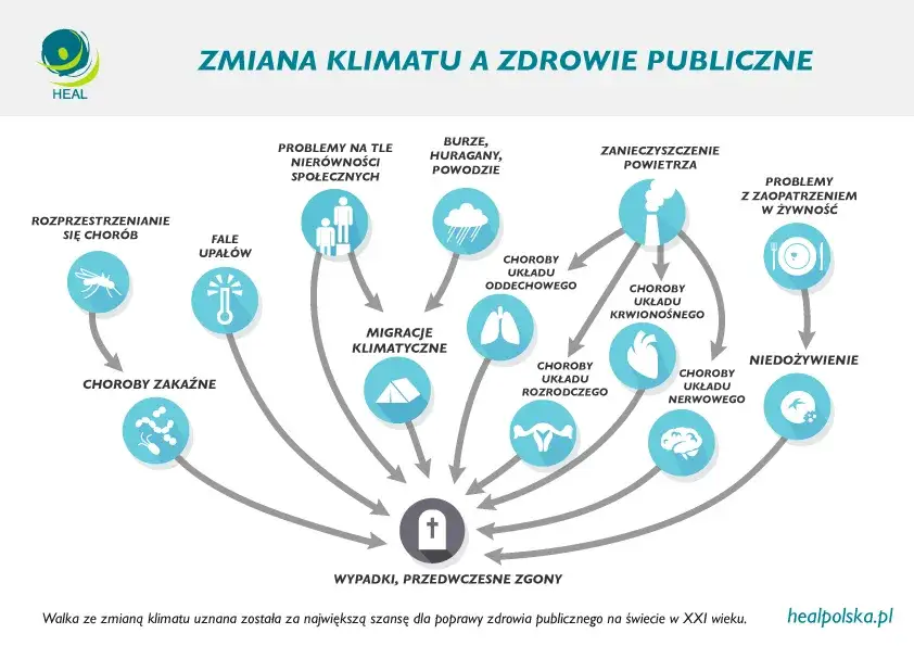 Zdjęcie Co zmienia klimat? Poznaj przyczyny i skutki zmian klimatycznych