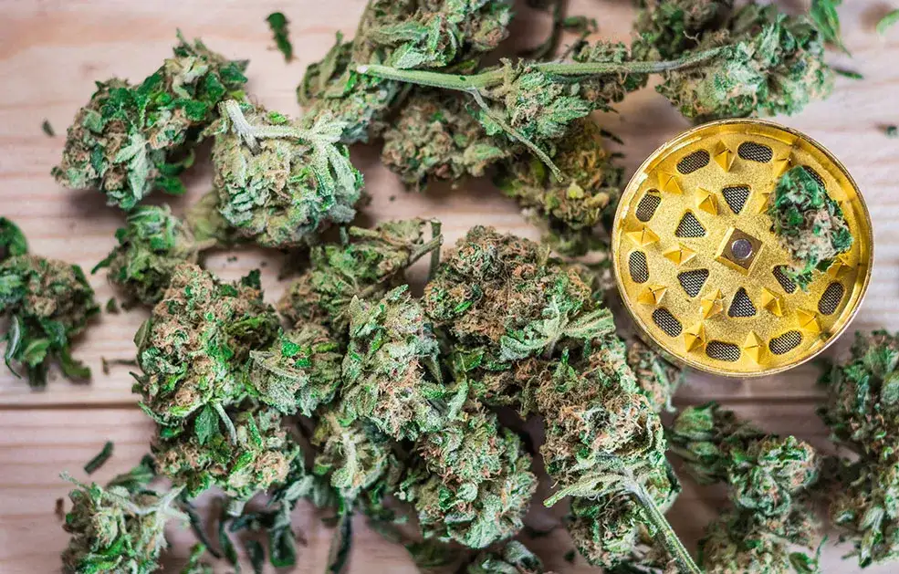 Zdjęcie Czy palenie marihuany to grzech? Moralne dylematy i różne opinie