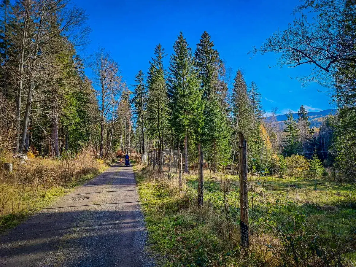 Zdjęcie Trasy rowerowe dla rodzin z dziećmi w Dolnym Śląsku - bezpieczne i malownicze