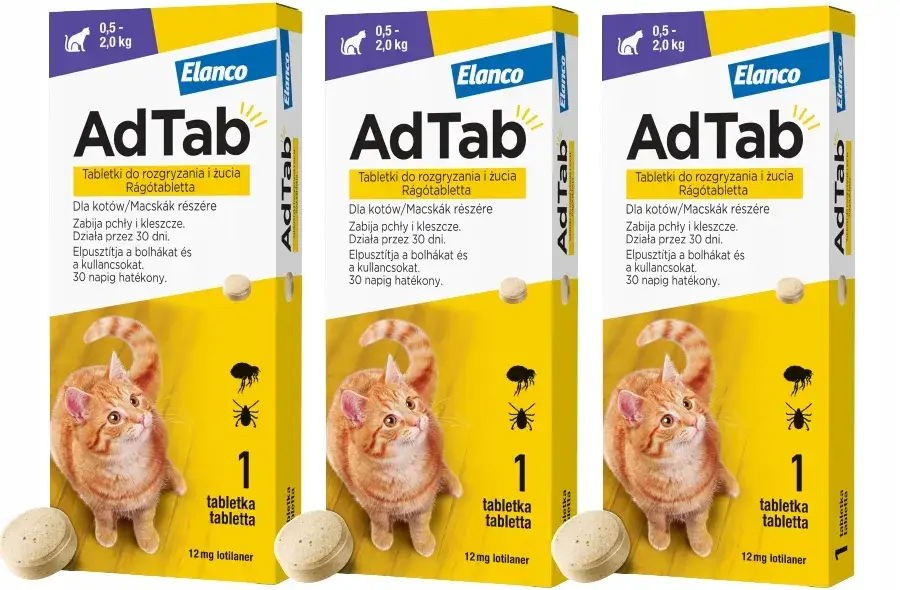 Zdjęcie Ile trwa odrobaczanie kota i jak szybko działa preparat?