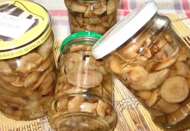 Zdjęcie Maślaki w zalewie octowej – przepis na aromatyczną marynatę