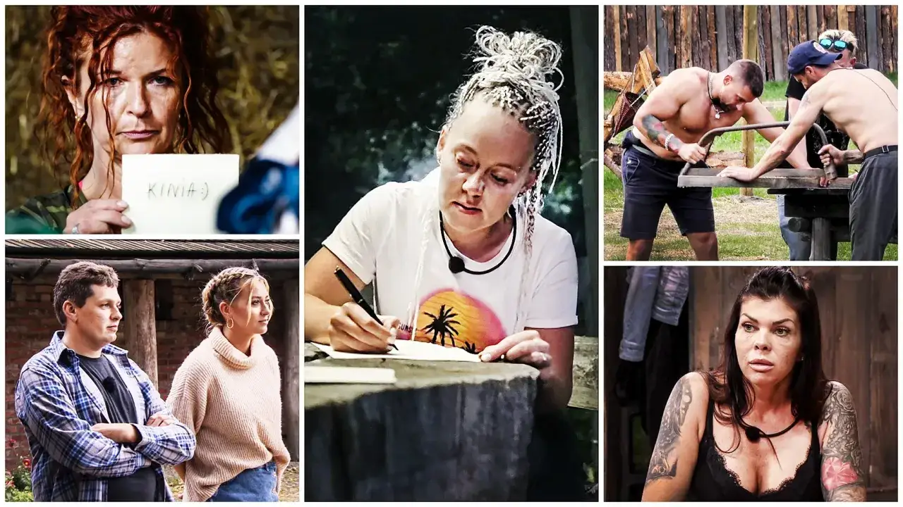 Zdjęcie Farma ile odcinków? Odkryj, ile naprawdę ich jest i jak są podzielone