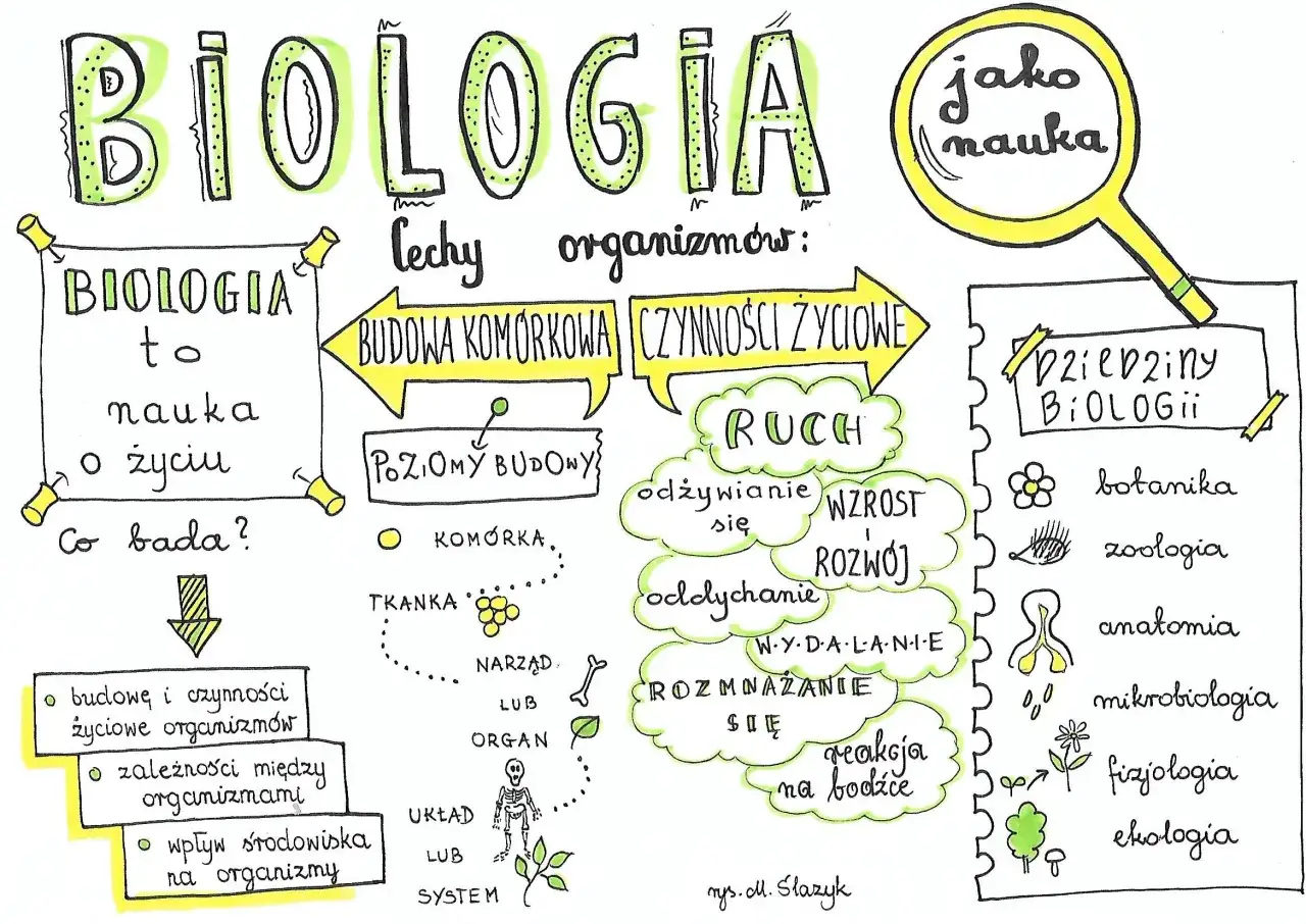 Zdjęcie Biologia co to jest? Prosta definicja, zastosowania i główne działy nauki