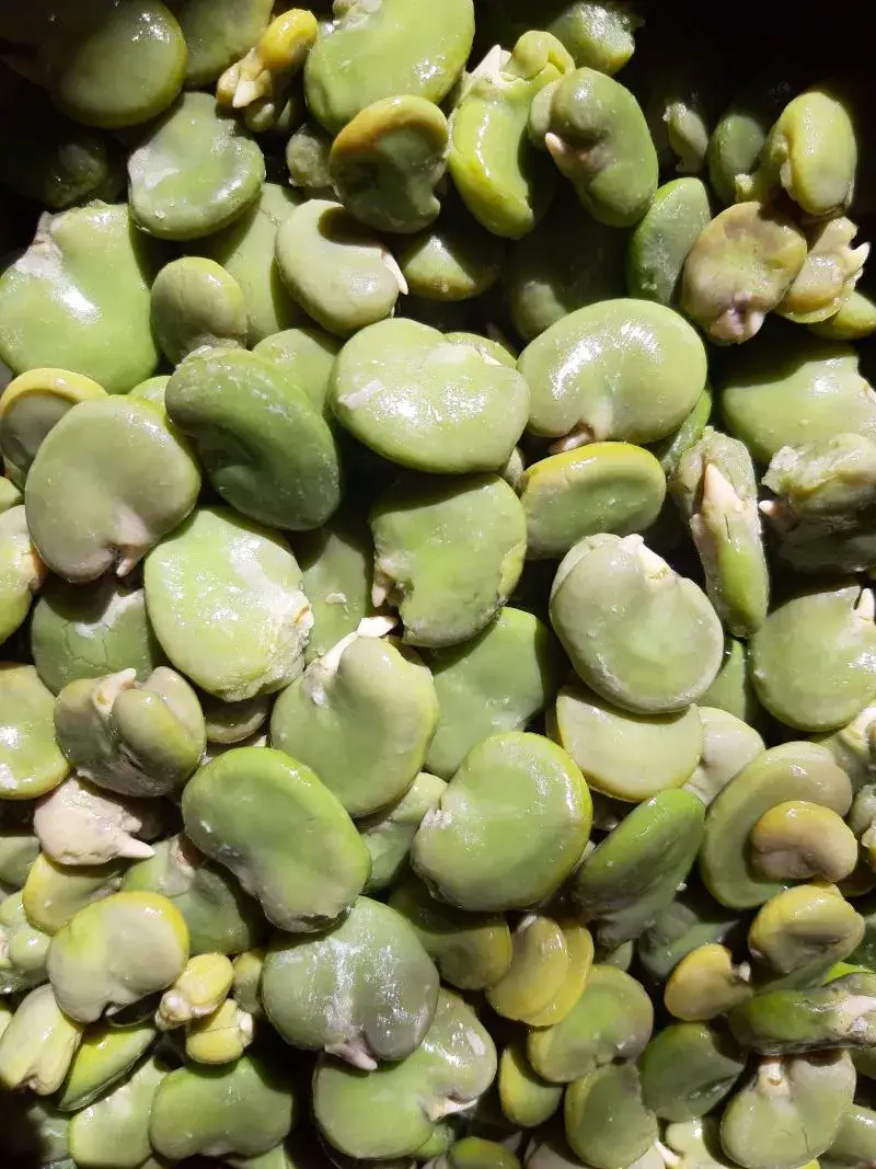 Zdjęcie Kiedy jest sezon na bób? Nie przegap najlepszych smaków lata!