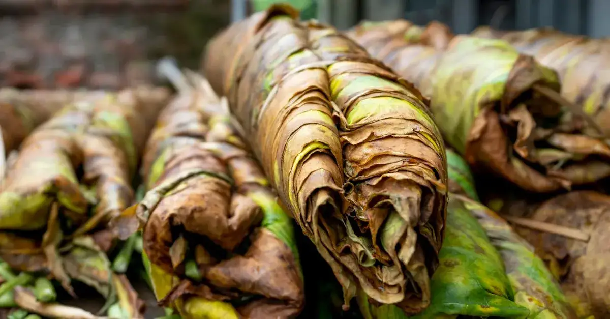 Zdjęcie Jakie są obecne ceny tytoniu w skupie? Co wpływa na różnice?