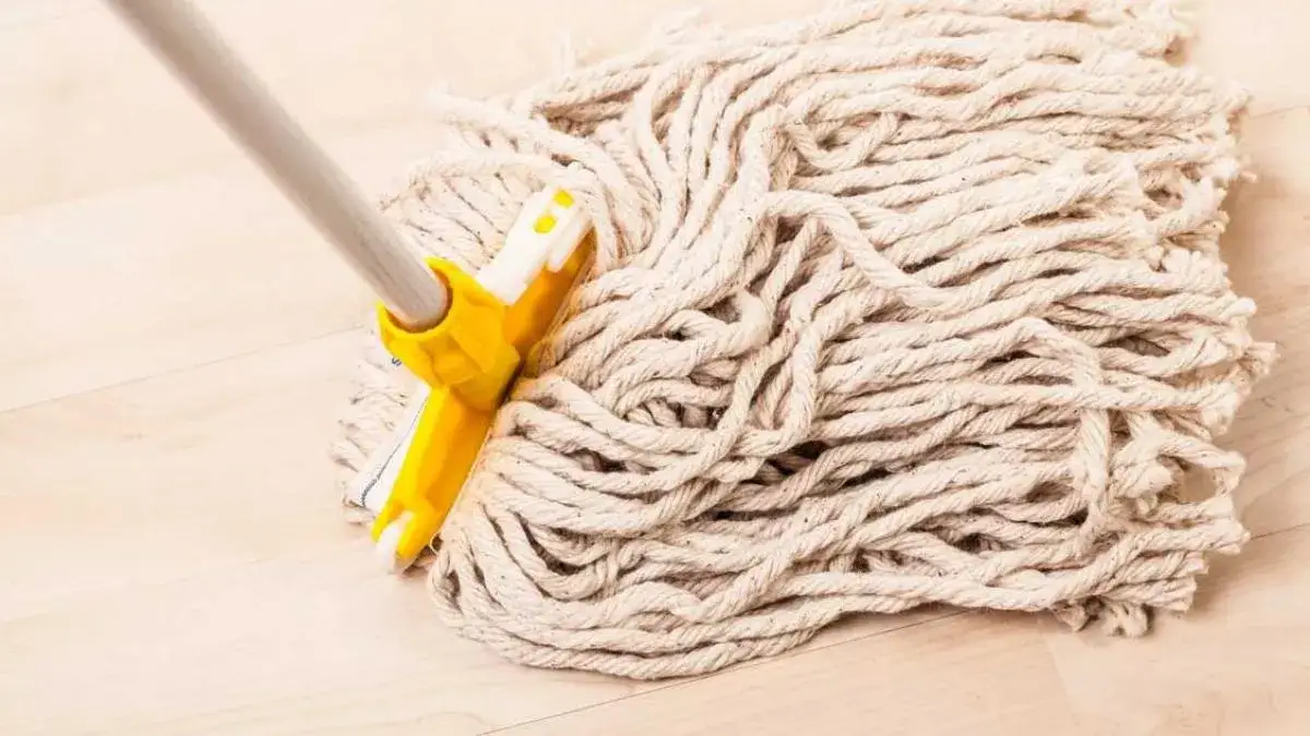 Zdjęcie ¿En qué año se inventó la fregona y quién fue su creador?