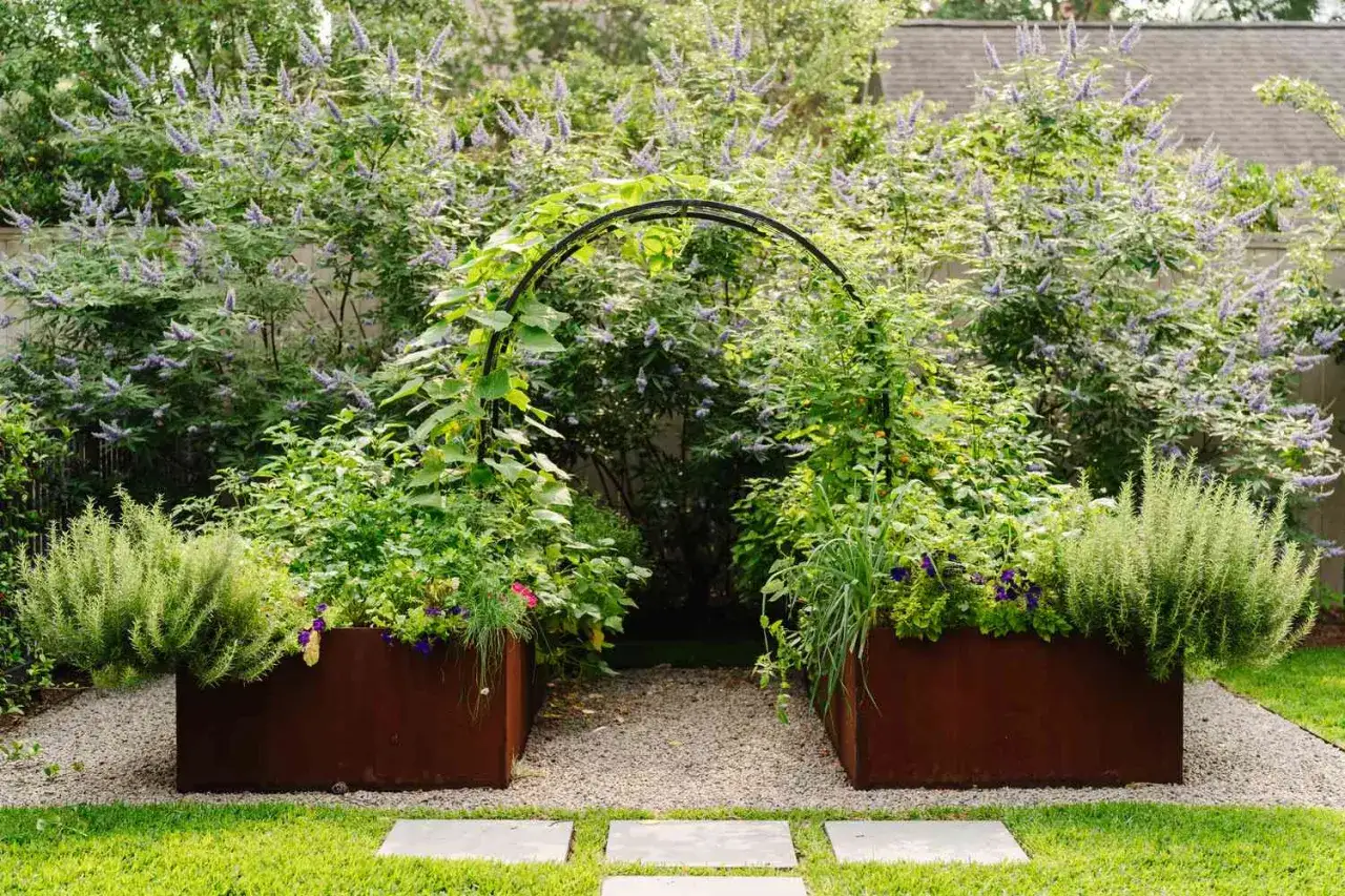 Inspiracja, jak urządzić ogr&oacute;d: kwitnące krzewy, metalowe donice z ziołami i łuk porośnięty pnączami tworzą magiczne przejście.
