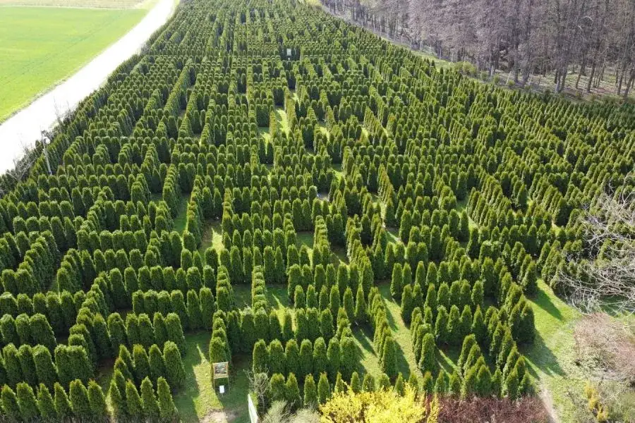 Zdjęcie Rąblów atrakcje, które zaskoczą każdego turystę i zachwycą rodzinę