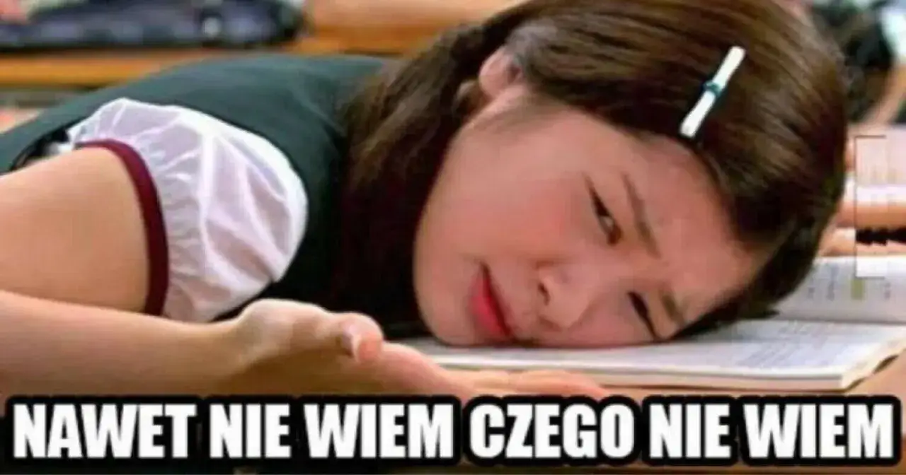 memy stres egzamin