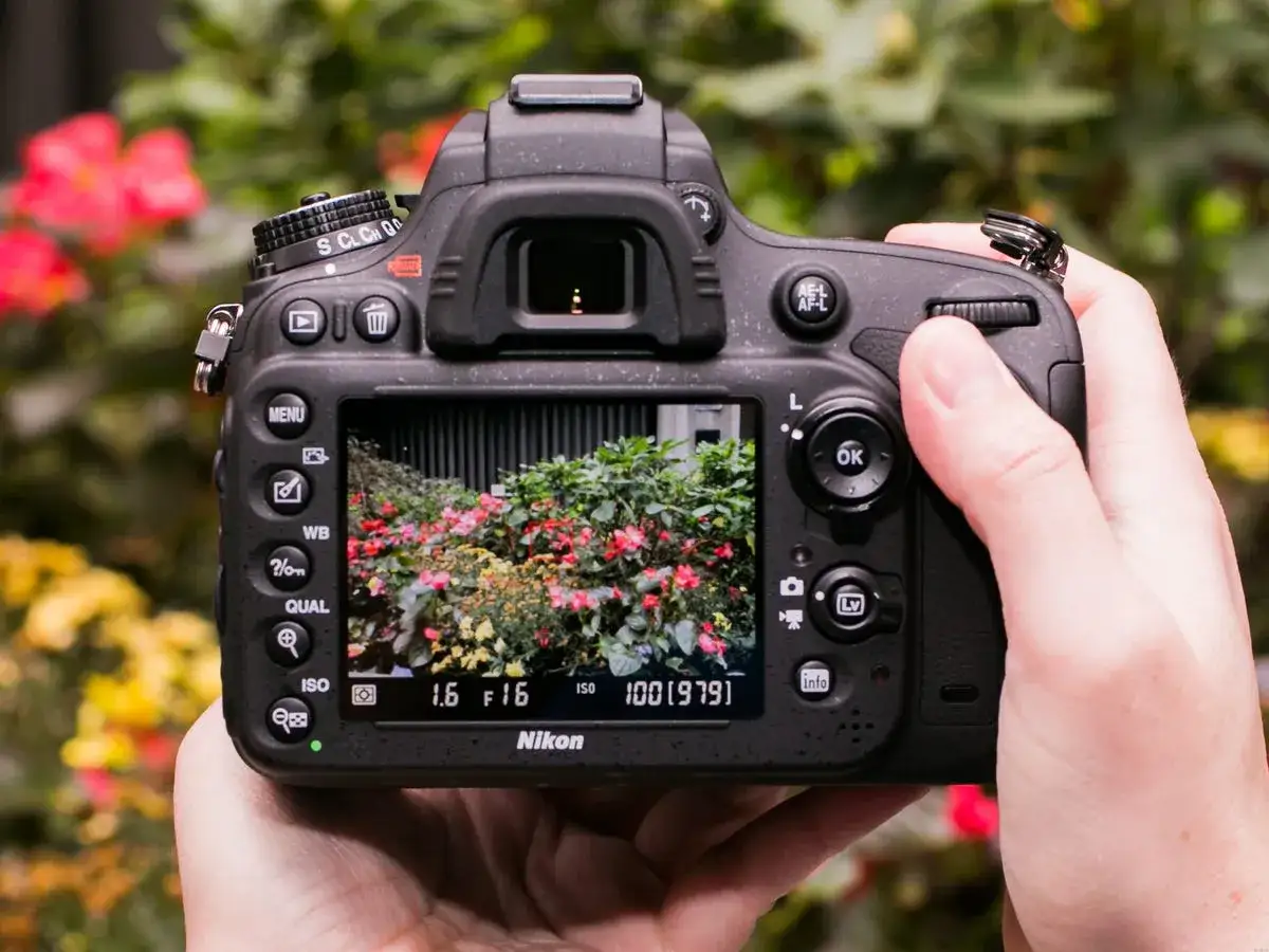 Dłoń trzyma aparat Nikon, na ekranie widać kolorowe kwiaty. Fotografowanie w formacie RAW daje większe możliwości edycji.