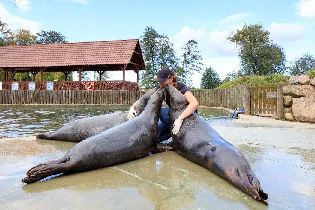 Dolina Charlotty ZOO fokarium