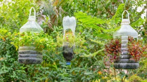 pionowy ogród z butelek PET, samonawadniające doniczki DIY, karmnik dla ptaków z butelki