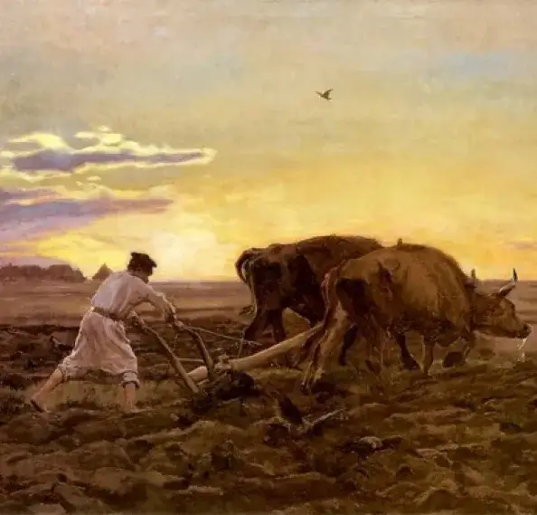 Praca u podstaw pozytywizm, polscy chłopi, edukacja