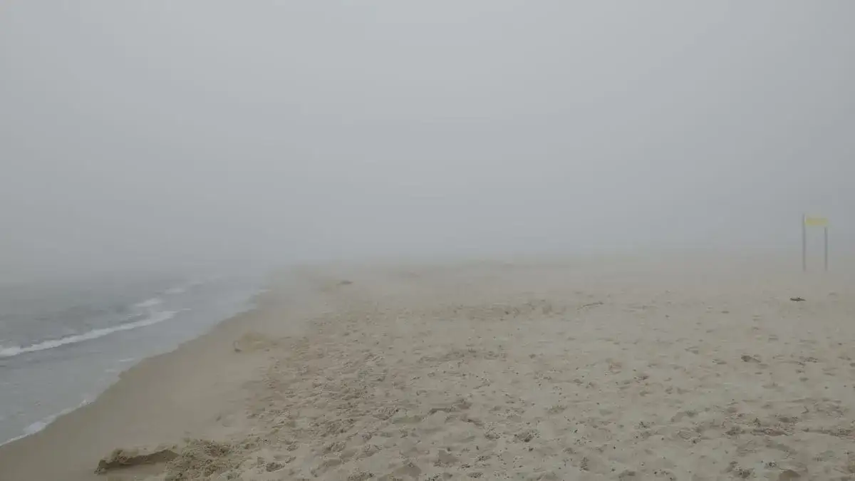 Mgła adwekcyjna nad morzem Bałtyckim